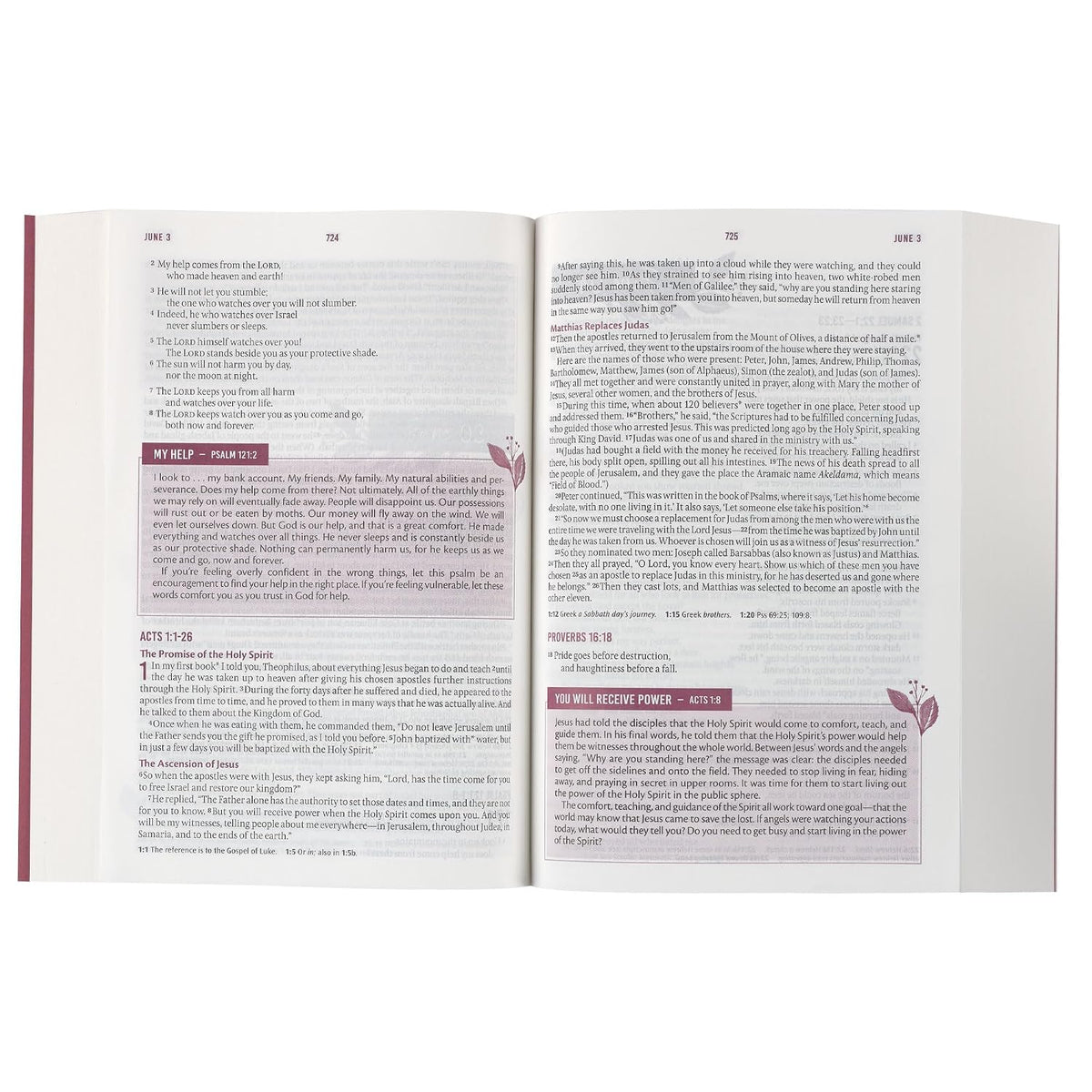 Holy Bible for Women New Living Translation, Pink Lilly